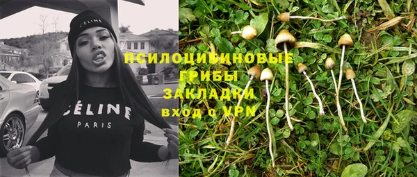 спиды Белокуриха