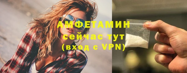 индика Белоозёрский