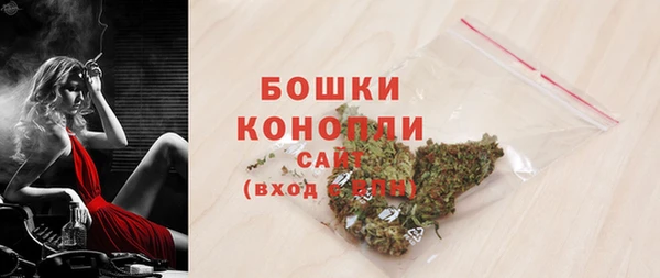 индика Белоозёрский