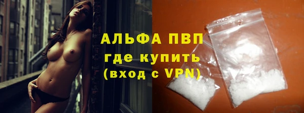 индика Белоозёрский