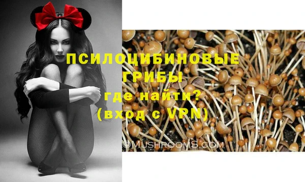 индика Белоозёрский