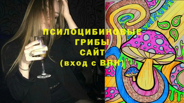спиды Белокуриха